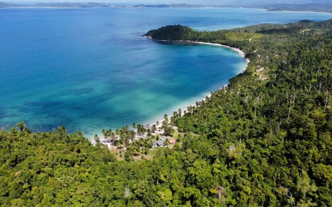 Discover the Hidden Gem of Palawan: San Vicente’s Agricultural Lots for Sale Offer Unmatched Business and Tourism Potential